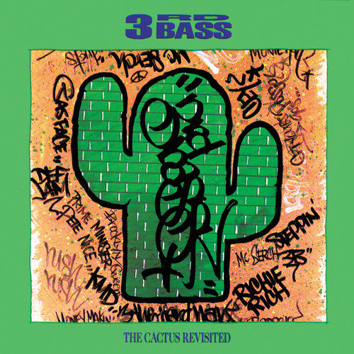 3rd bass product of the environment 3rd bass product of the environment