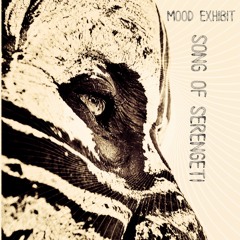 Mood Exhibit - Song of Serengeti