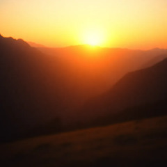 Sunset Vibe