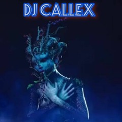 Dj Callex - Alive