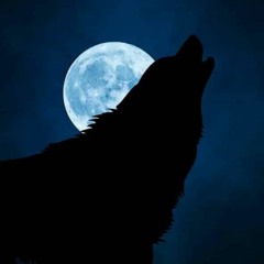 when the night falls