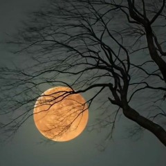 The man in my dream💖