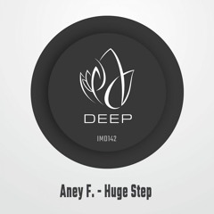 IMD142 - Aney F.  - HUGE STEP