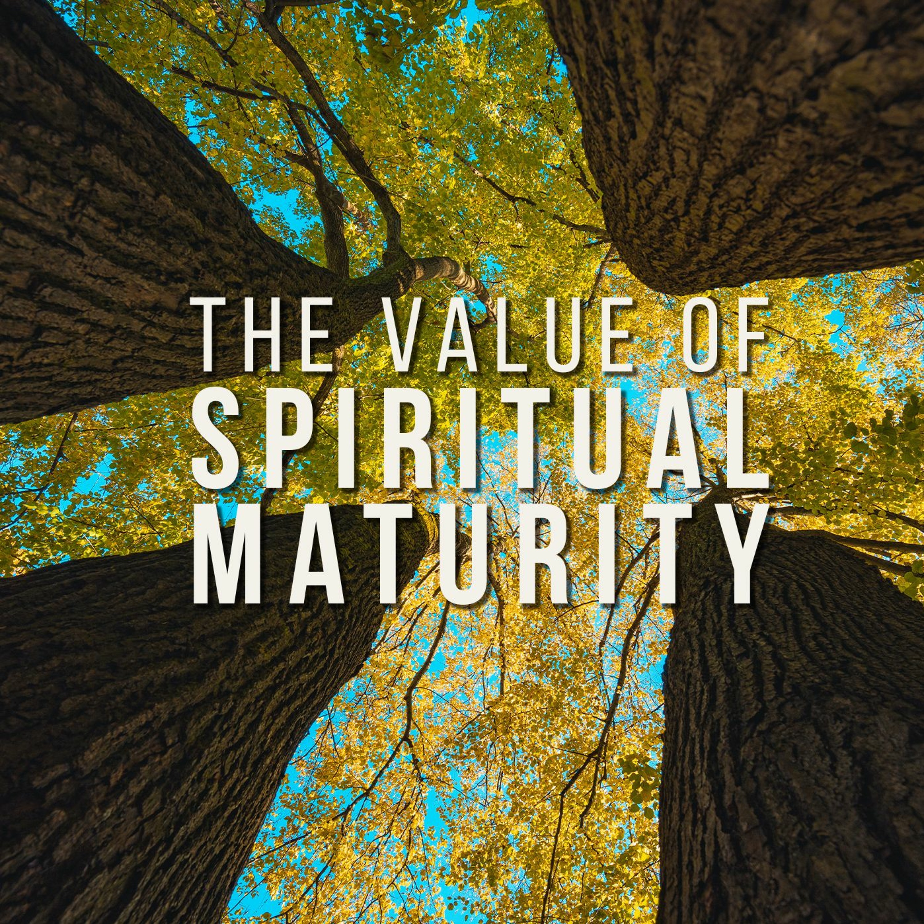 The Value of Spiritual Maturity episode artwork