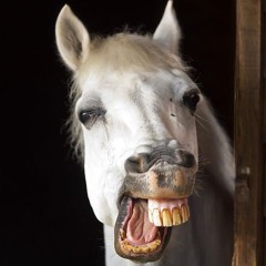 La boca del Caballo
