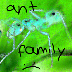 the ant family