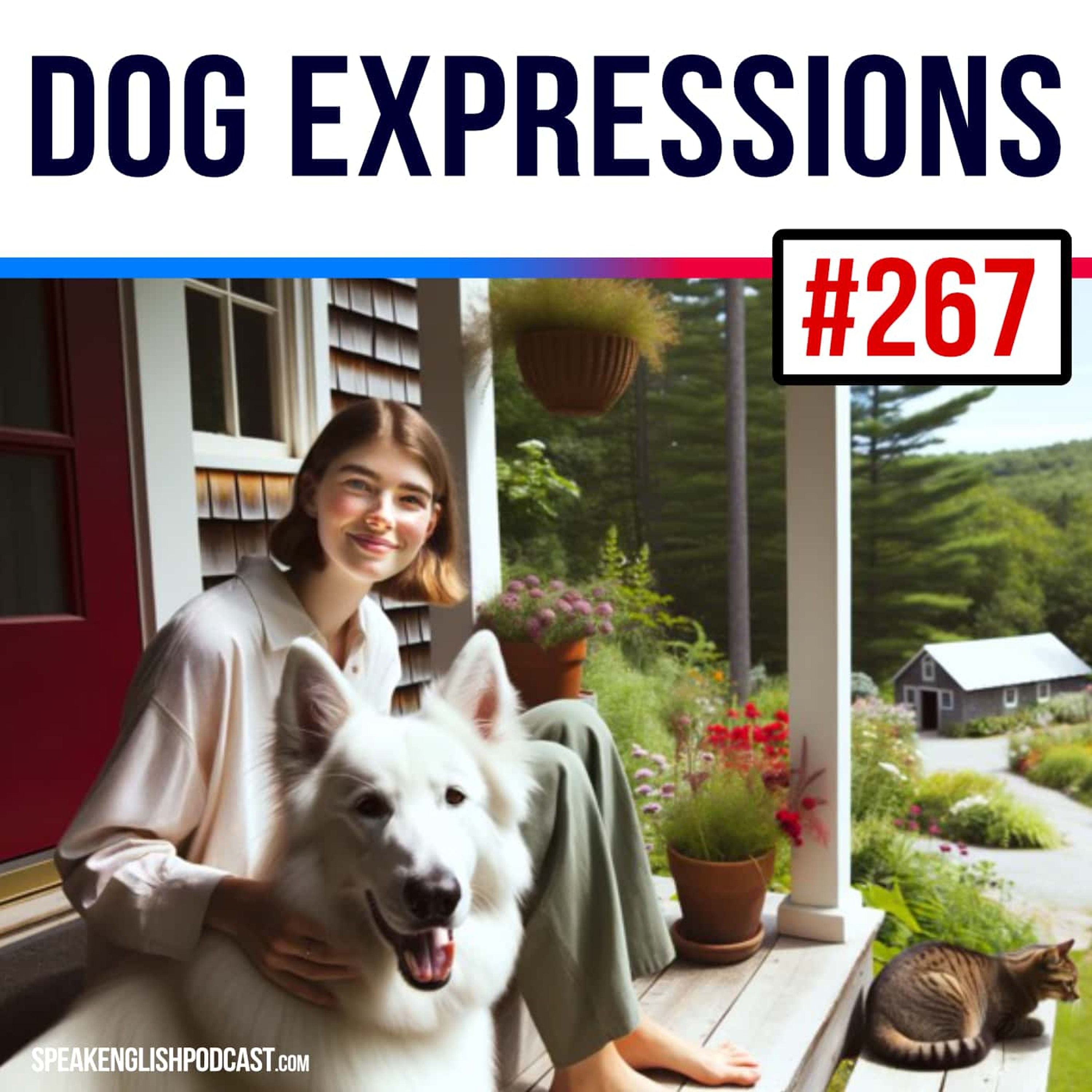 #267 Dog idioms in English part2 episode artwork