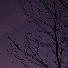 𝖘𝖆𝖎𝖓𝖙 ♱