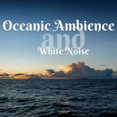 White Noise - Crashing Waves with Children in the Background, Loopable