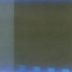 Identification