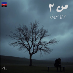 Man 2 - Arshia Saeedi