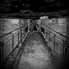 Browse 11 TRAP CHILL BEAT FAST