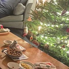 Cold Turkey For Christmas