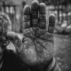 Sentiments Of An Open Heart