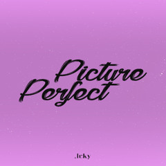 PICTURE PERFECT (Sped Up)