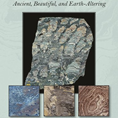 download EBOOK ☑️ Stromatolites: Ancient, Beautiful, and Earth-Altering by  Bruce L.