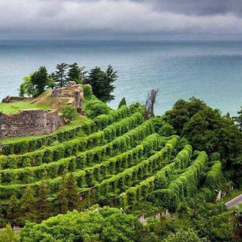 Outsidecast 44 | Usherenko