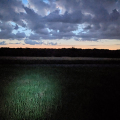 Nth of Lillingstone Lovell, dawn (S502) 0330¬0430 - 2023_07_08