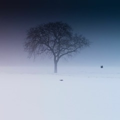 Z3NV0 X TwentyTwo5 - Spirits Of The Past