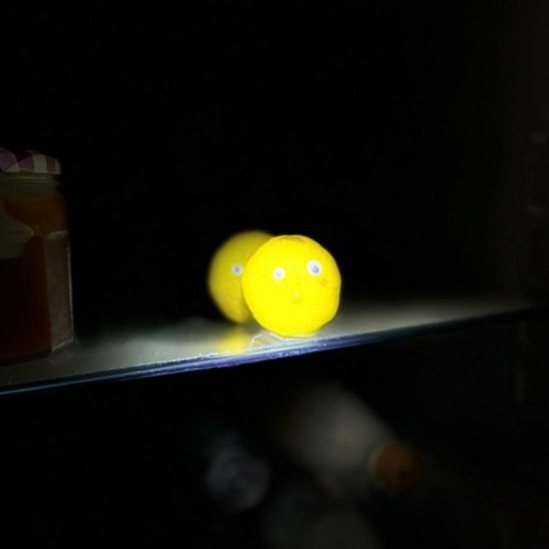 Park Club Sportstudio Pt.1