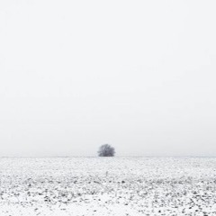 Meditation 37
