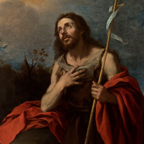 Stream episode Solenidade da Natividade de São João Batista (Homilia Diária.1508) by Padre Paulo Ricardo podcast | Listen online for free on SoundCloud