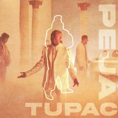 SLUMS ATTACK (Peja) Nie-kocham Hip-Hop ALE to 2PAC