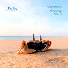 Afternoon Grooves Vol.3