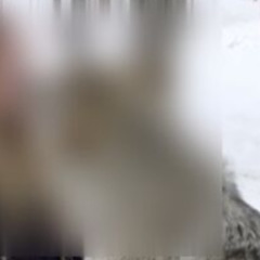 Videos 18+ one frog one girl one wolf video one girl one frog one girl one wolf video