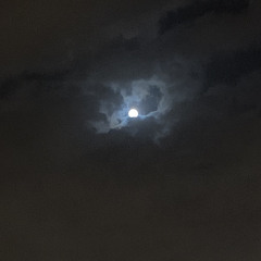 ‎⁨خايف اقول اللي في قلبي):