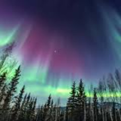 Northern Lights/Aurora Borealis(2025)🎨