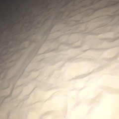 It Came At Night