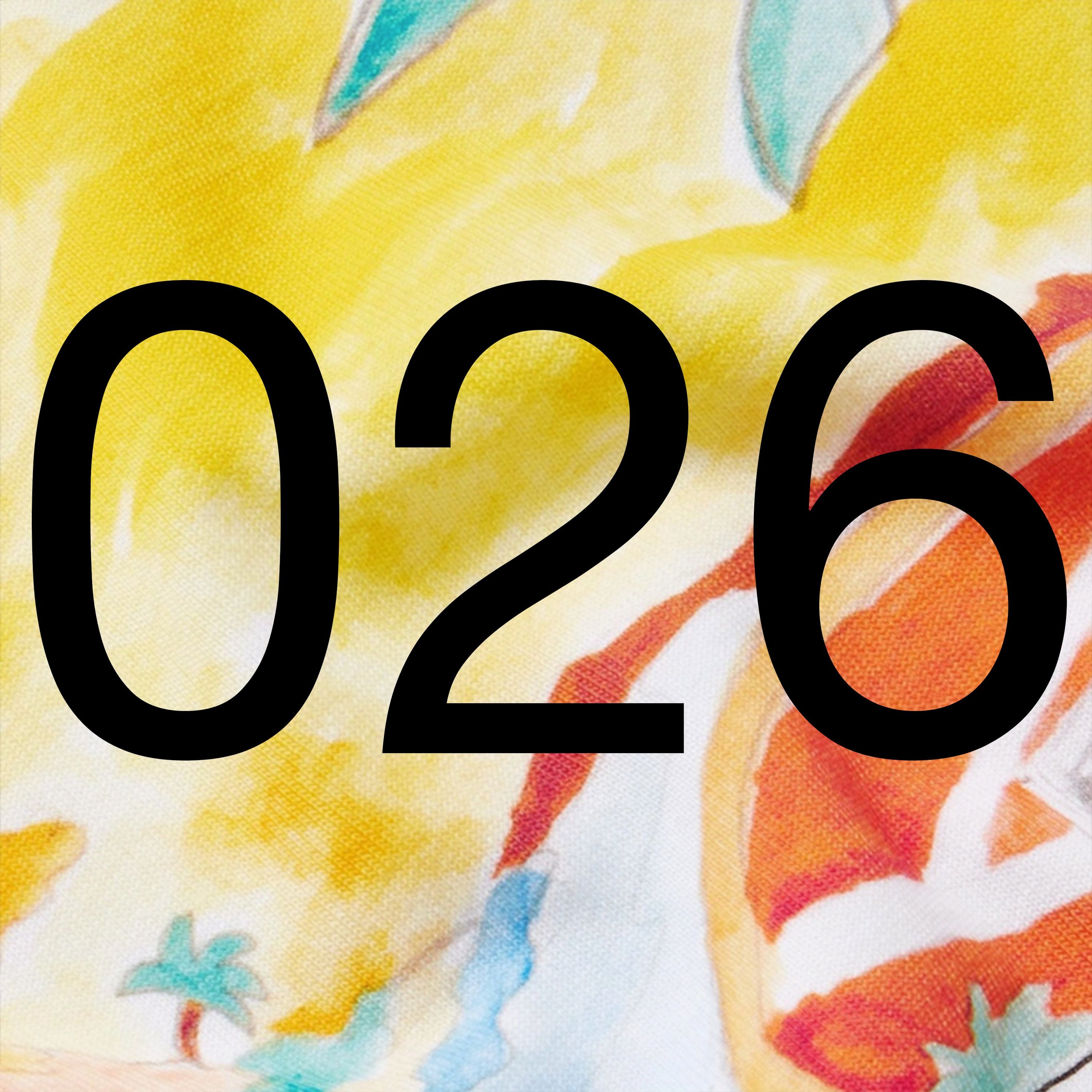 026 - House Minimal / Deep / Tech episode artwork