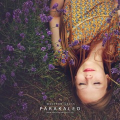 Parakaleo