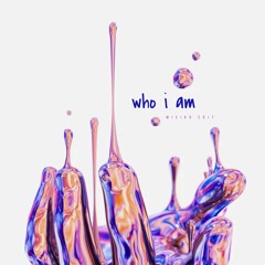 Alan Walker - Who I Am ( MICIKO DNB )