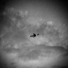 다시 태어날 수 있을까(feat. sole)(Demo)