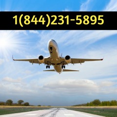 Avelo Airlines Cancellation Policy and Cost