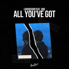 All You've Got (feat. VIDE)