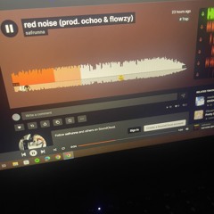 red noise (prod. ochoo & flowzy)