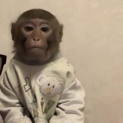 pull up in the moon ride..?