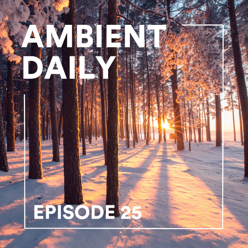 Ambient Daily - Episode 25 - Winter Forest