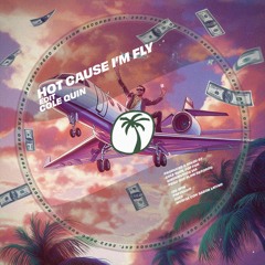 Cole Quin - Hot Cause I'm Fly [PQFFDL019] *PLAYED BY CHELINA MANUHUTU*