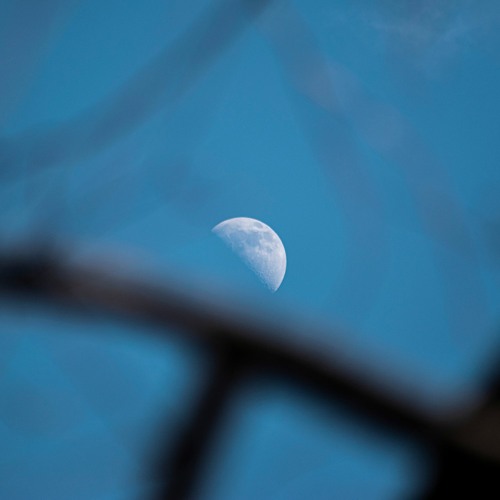 Nightside