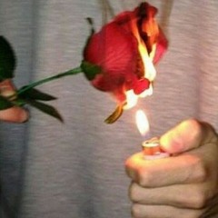 Alifaanugai | by: Abdhulla Fareed |