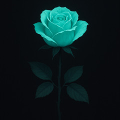 SAINT JHN x Imanbek - Roses (Lightning Remix)