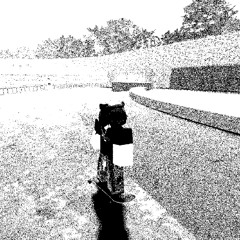 ⌗✷⋆𖤐 @koy#jc