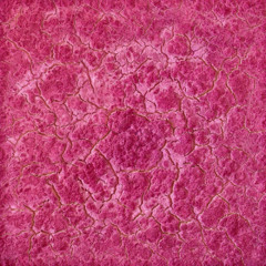 cassette (1bolu+134melman)