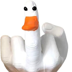 Angry Duck