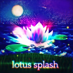 Lotus Splash
