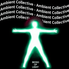 colectivo ambiente set!